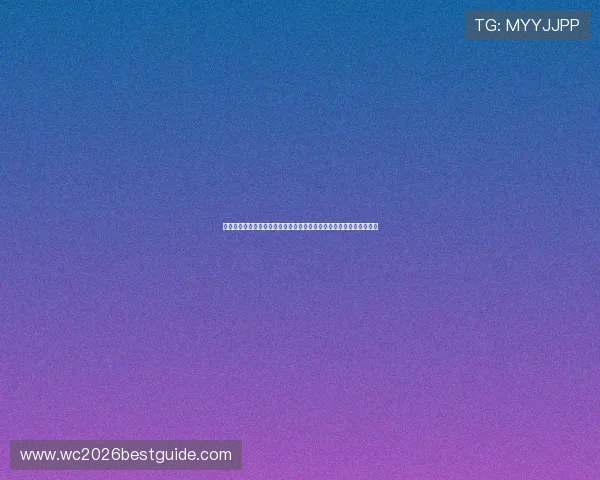 深入分析伊朗队关键球员：在世界杯赛场上的战术执行与关键时刻表现